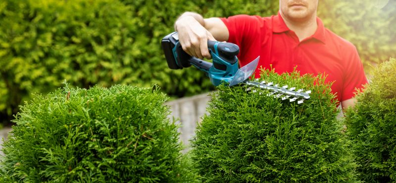 Top Rated Products for Evergreen Trimming