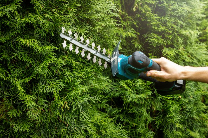 Evergreen Trimming Costs — Cost of Evergreen Trimming
